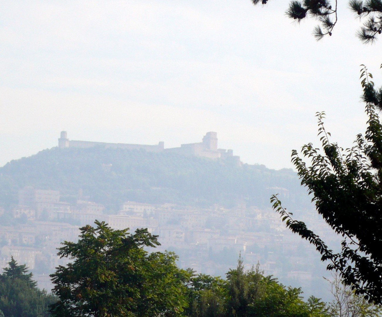 2010 Assisi-1