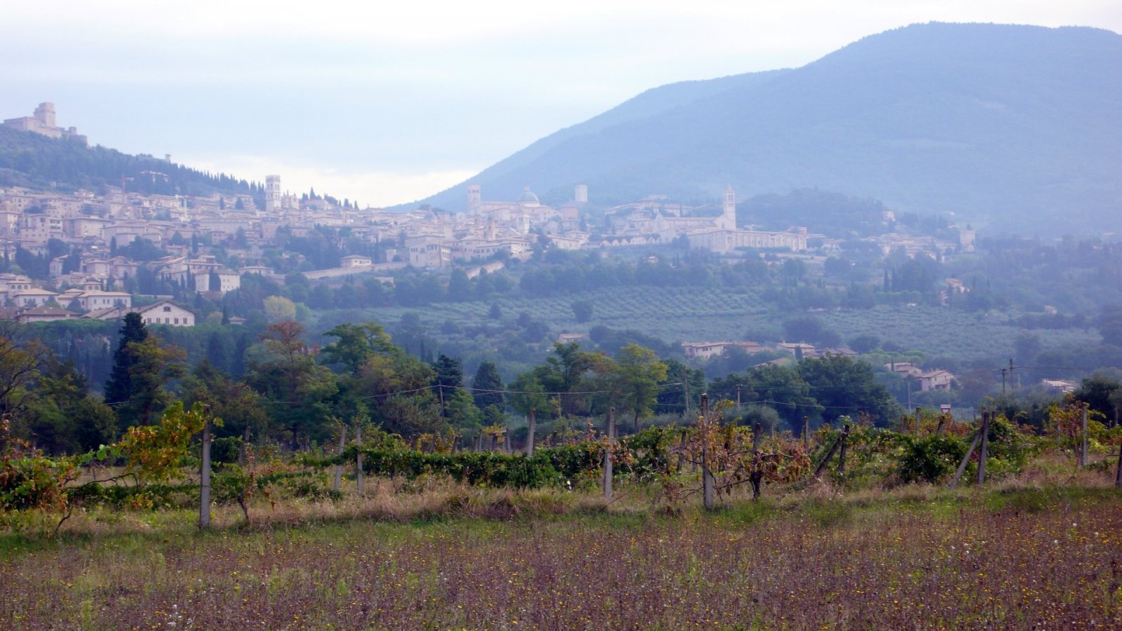 2010 Assisi-15