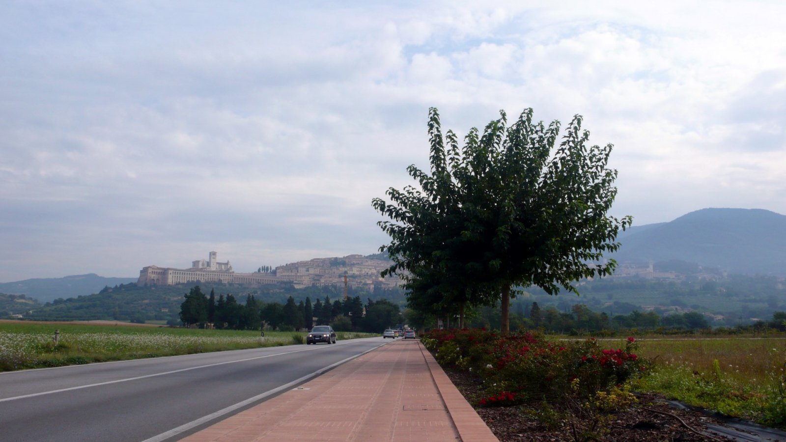 2010 Assisi-7