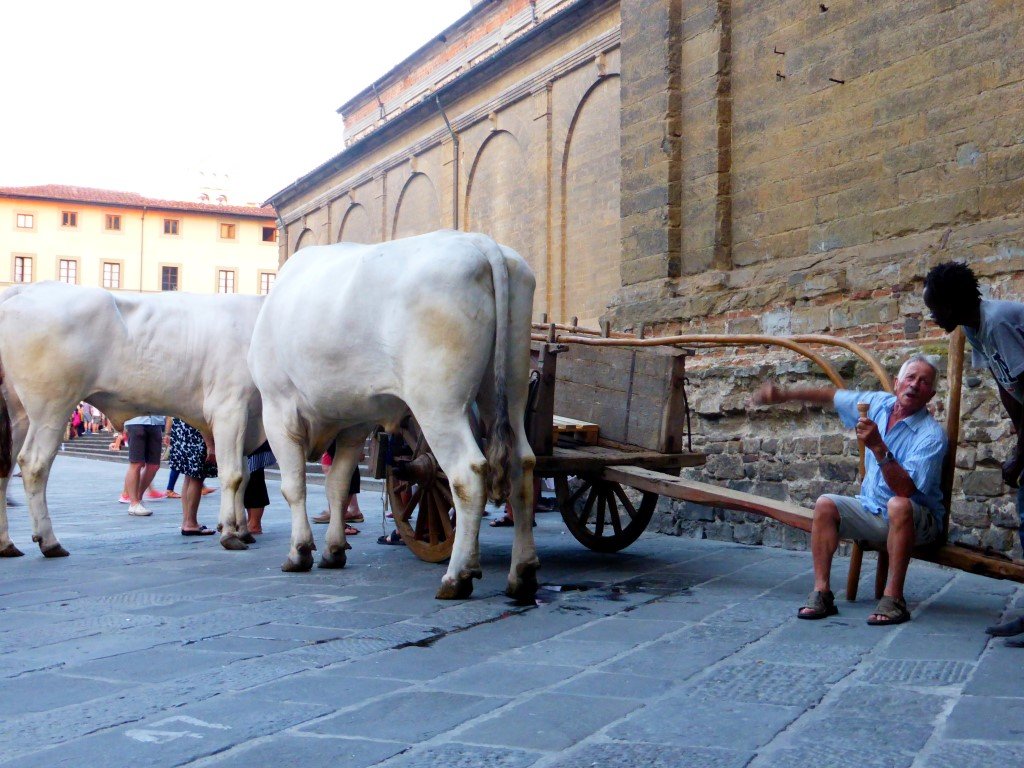 Florence 2015 Festival Of Michelangelo-001