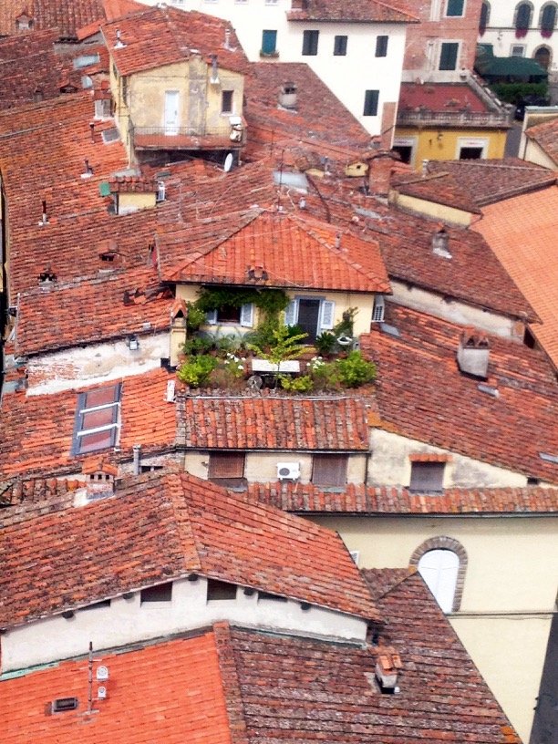 Italy Lucca (from) Guinigi Tower 2016-019