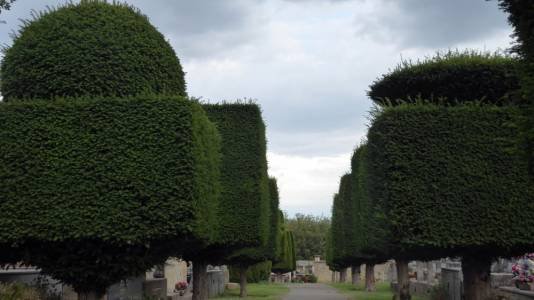 France Goult 2016 Cemetery-002