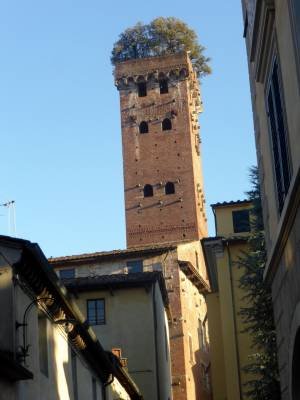 Italy Lucca 2016 Torre Giuinigi
