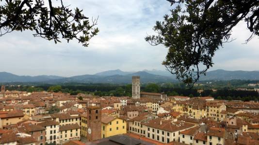 Italy Lucca (from) Guinigi Tower 2016-017