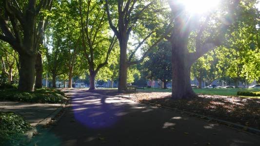 Melbourne Queen Victoria Gardens-9