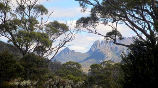 Tasmania Cradle Mountain Access Walk-029