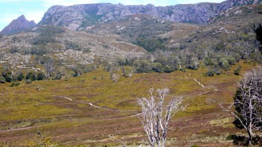 Tasmania Cradle Mountain Waldheim Area-006