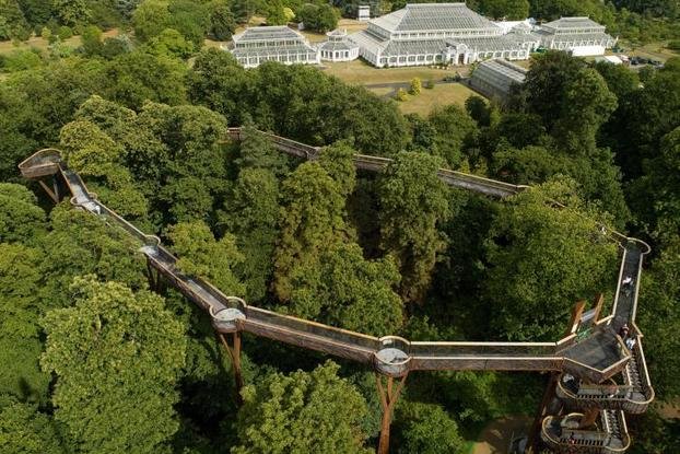 Kew Treetop Walkway